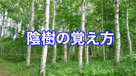 陽樹 陰樹 一覧|雑木林の遊歩道～植生【陽樹とは？陰樹とは？】